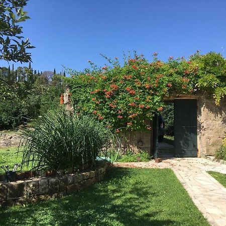 Villa Lucivana For Deep Rest & Brief Remote Work Gruda Exterior photo