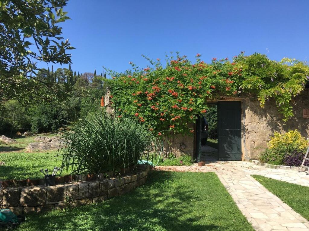 Villa Lucivana For Deep Rest & Brief Remote Work Gruda Exterior photo
