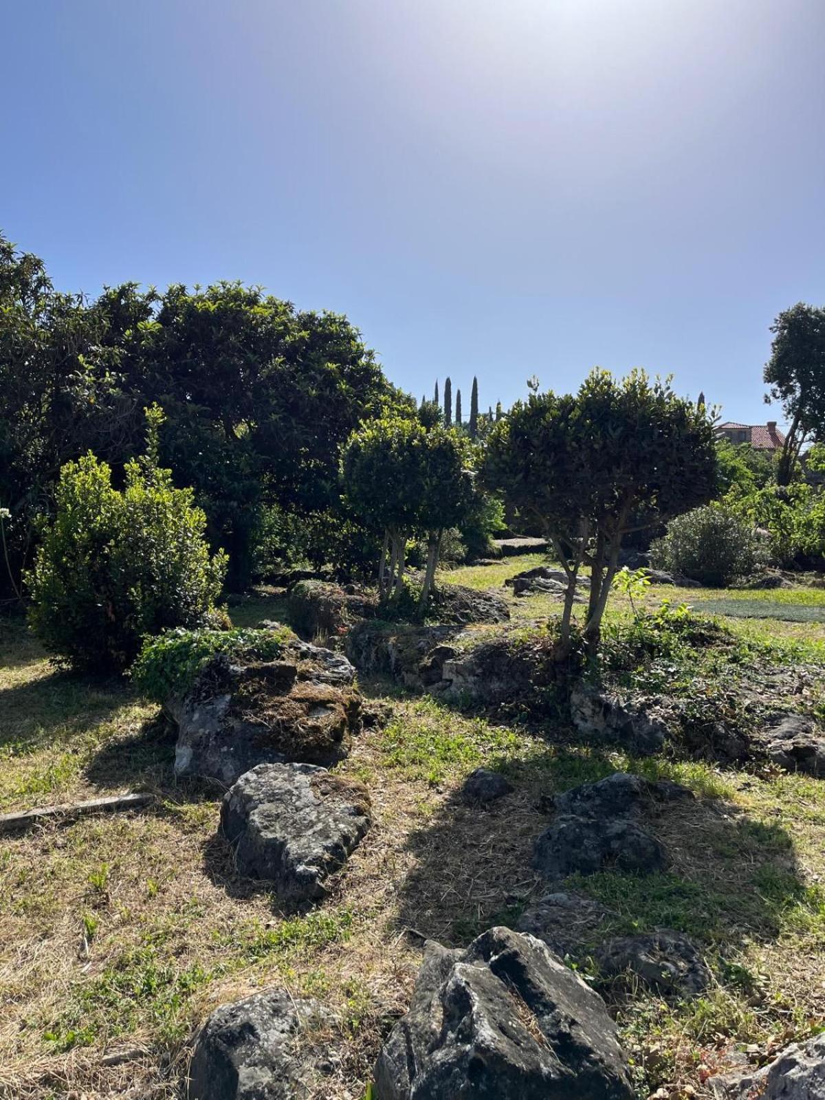 Villa Lucivana For Deep Rest & Brief Remote Work Gruda Exterior photo